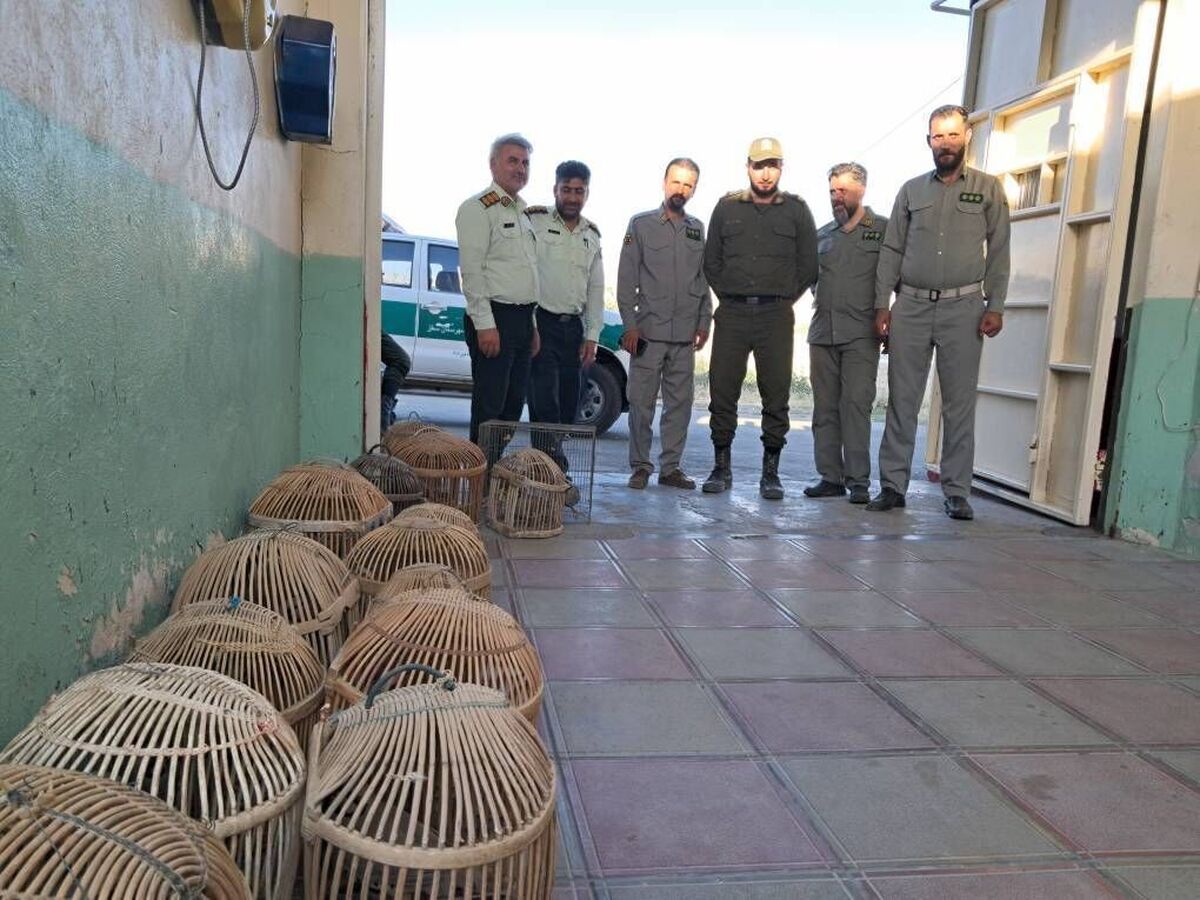 نجات کبک وحشی در سقز توسط محیط‌بانان