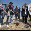 مراسم روز درختکاری با حضور معصومه ابتکار رئیس سازمان محیط زیست