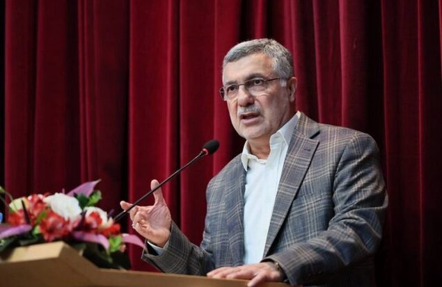 وزیر بهداشت در حال ارائه توضیحات درباره برنامه پزشک خانواده و نظام ارجاع