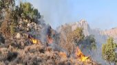 مهار آتش‌سوزی کوه‌های چرزو و مارین گچساران توسط نیروهای محیط زیست