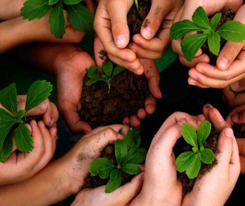 امسال برای محیط زیست 5 قدم برداریم