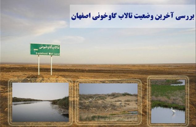 تصویر تالاب گاوخونی در اصفهان با تاکید بر کم‌آبی و حفظ اکوسیستم