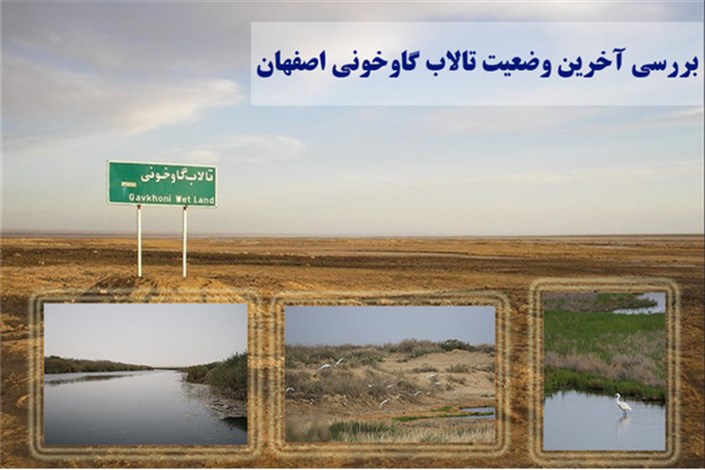 تصویر تالاب گاوخونی در اصفهان با تاکید بر کم‌آبی و حفظ اکوسیستم