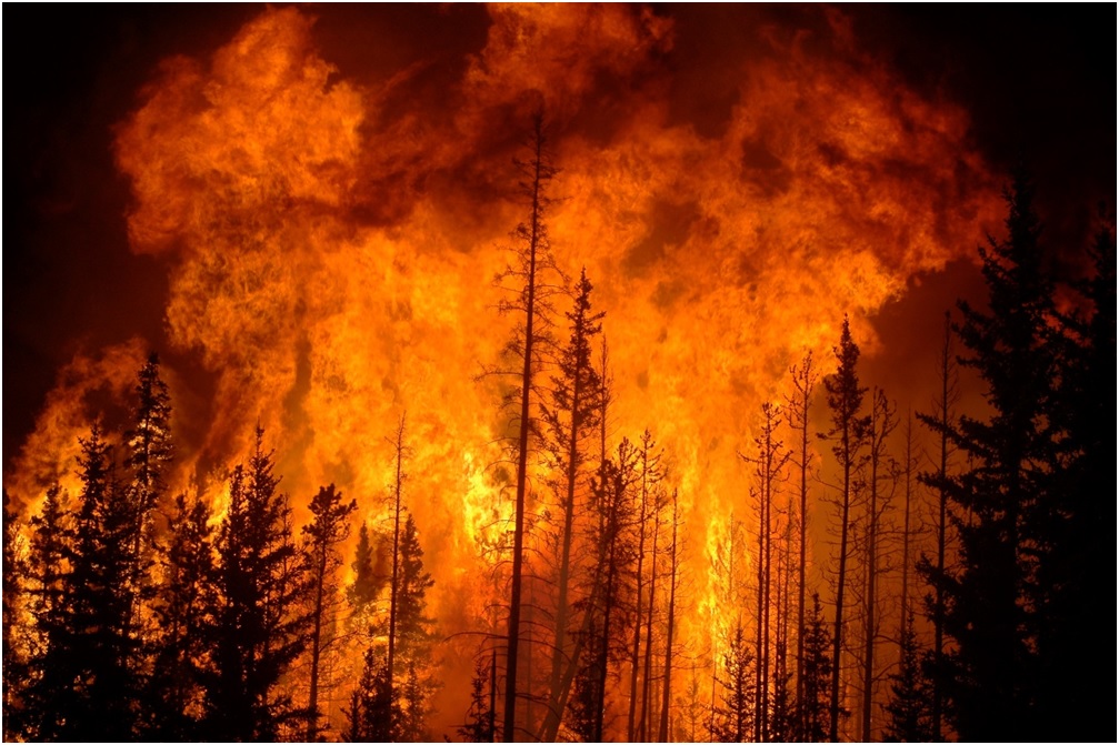 Fire 01