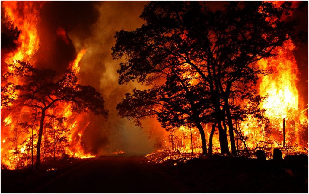 Fire 02