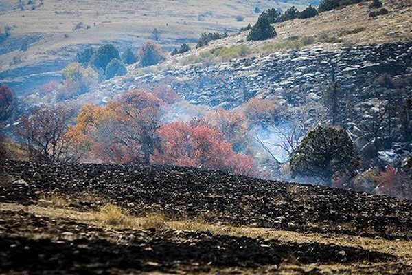 امکان عمدی بودن آتش سوزی‌ ها وجود دارد!
