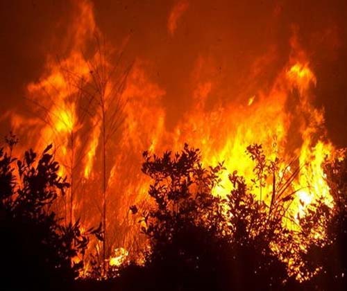 70 درصد آتش ‎سوزی جنگل‎ های ایران در زاگرس