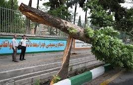 آمادگی نیروهای خدمات شهری برای مقابله با سیل و طوفان‌ های احتمالی تهران
