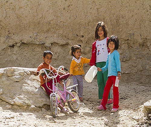 علل افزایش مشتریهای کمیته امداد از زبان یک مسئول