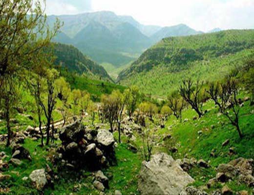حیات وحش باعث پایداری بوم‌ سازها می‎شود
