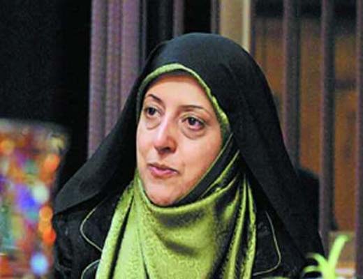 بهره برداری از جنگل های طبیعی تا 10 سال آینده متوقف می شود