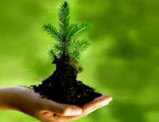 24 پروژه کلان احیای محیط زیست کشور در دو سال