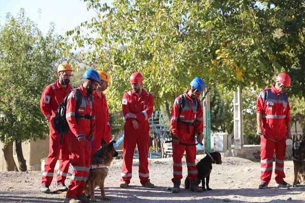 سگهای امداد در حال آموزش در دومین دوره جستجو و نجات