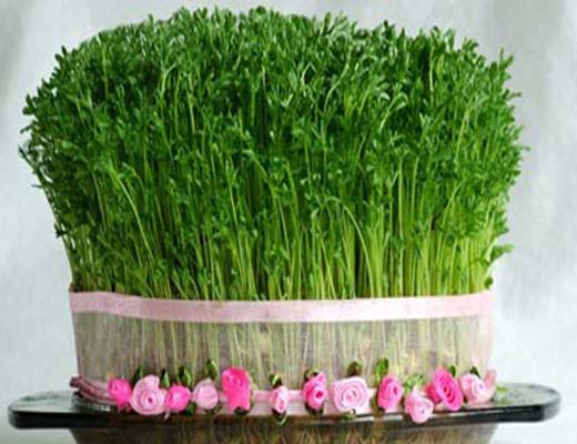 سبزه عید را به حفظ منابع آب نفروشیم