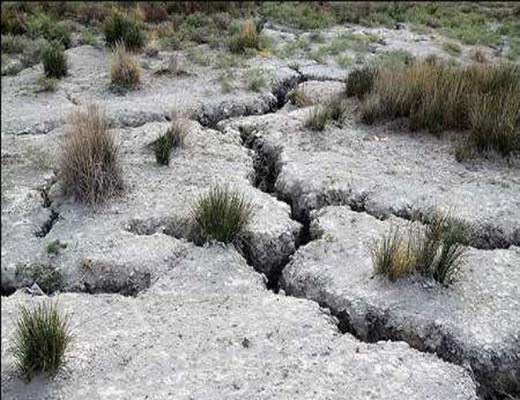 اینجا 50 سال بعد، بارانی نخواهد بارید، اگر ...