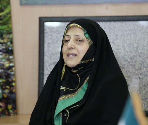 طرح گازرسانی به لاریجان مصوبه زیست محیطی است