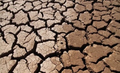 خشکسالی