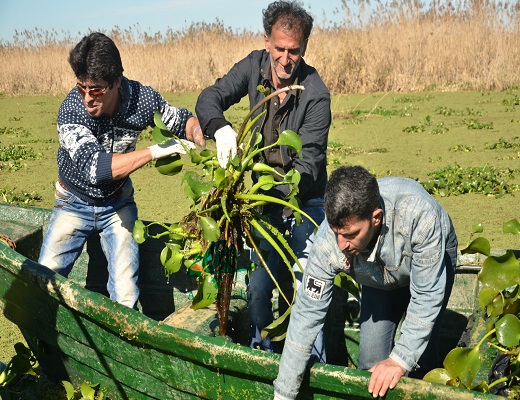 تالاب انزلي